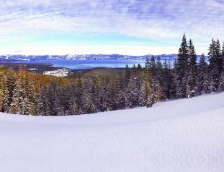 Alpine Meadows