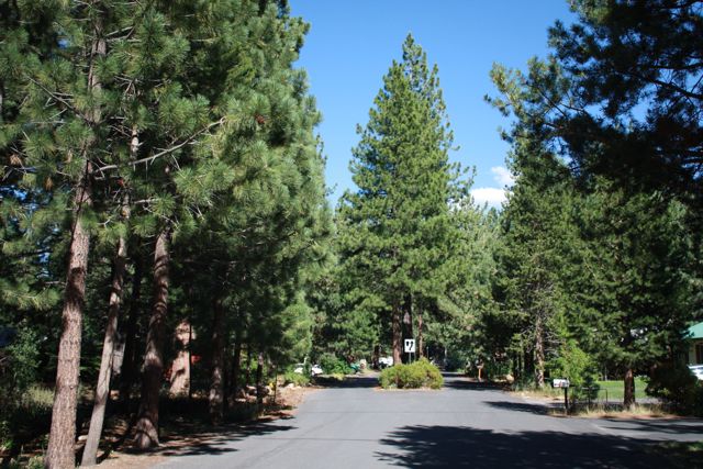 Sierra Meadows Street View